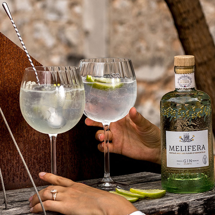 Melifera-gin-francais-bio-cocktail-gin-to-perfect