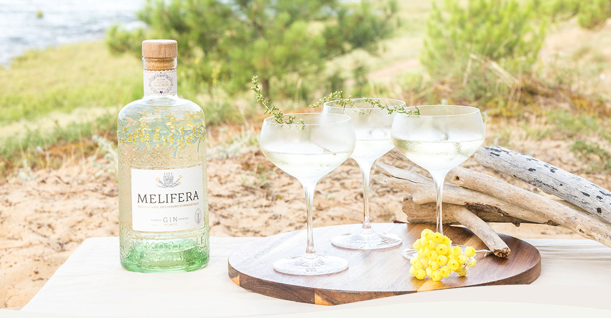 Melifera-blog-recettes-printemps-cocktail-gin-teinture