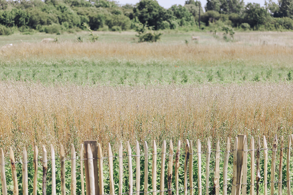 ensemble-jardin-bio-marque-ecoresponsable.