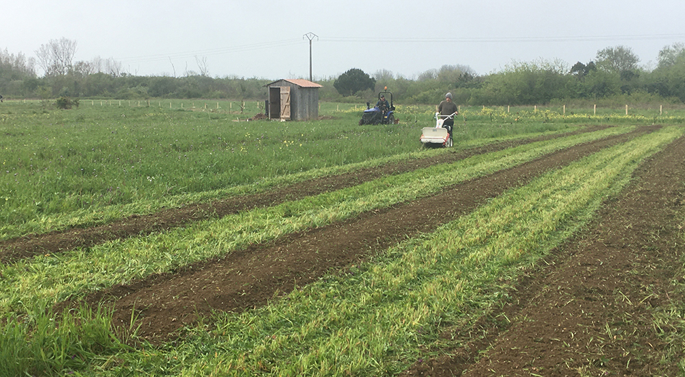 planches-cultures-jardin-bio-marque-ecoresponsable